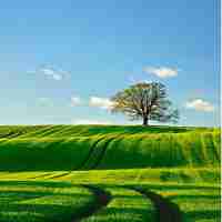 免﻿费‍搜‌索‌引‌擎‍抓﻿取‍系​统​